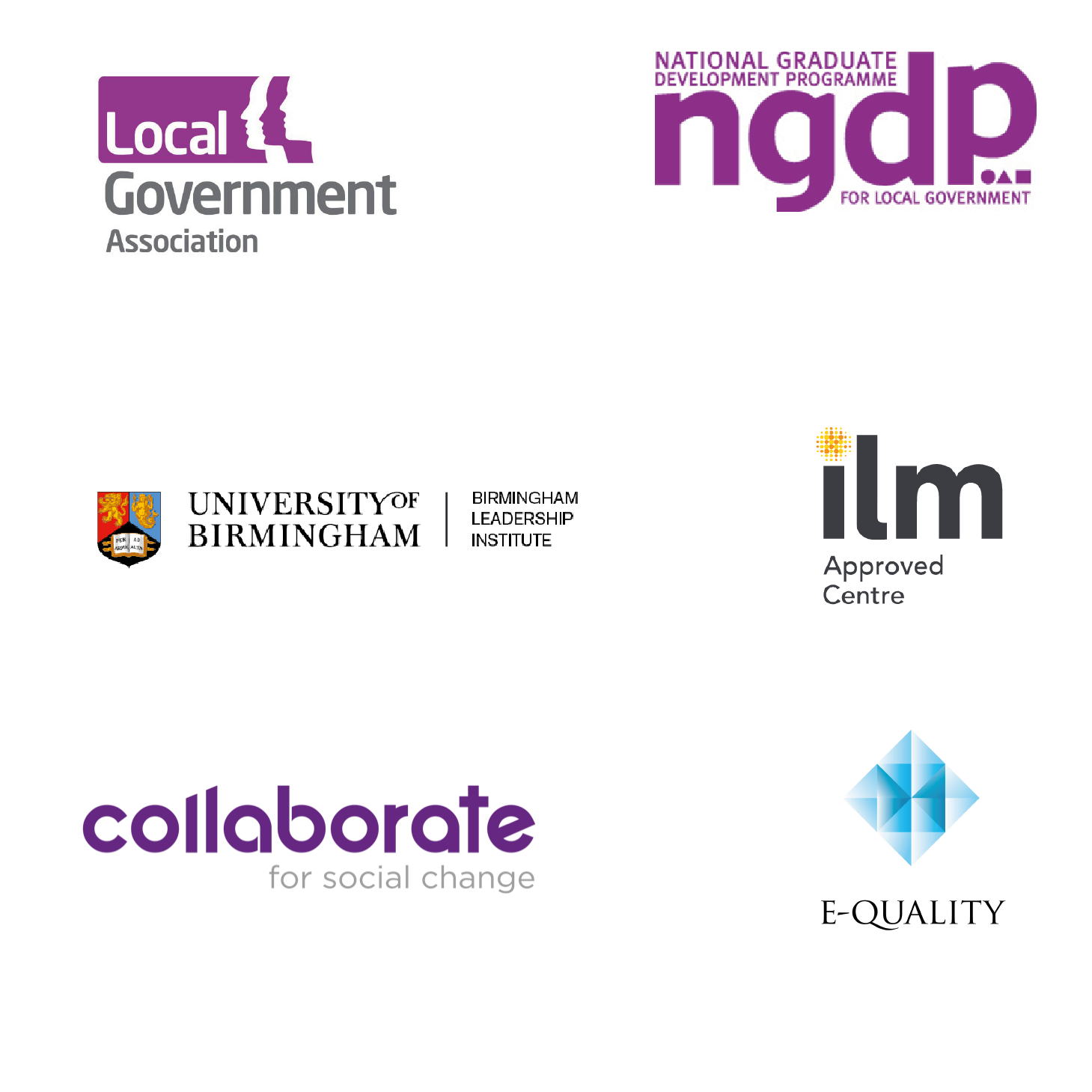 Leadership programme delivery partner logos